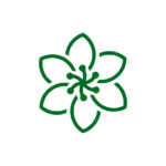 cropped noun flower 2311259 1 1.png